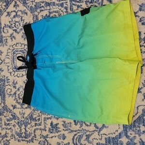 Speedo sz large men's ombre blue green swim trunks board shorts SW4